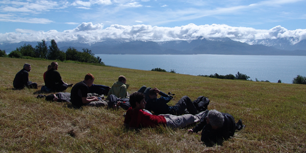 long-alaska-relax-grass